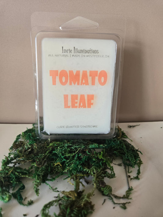 Tomato Leaf